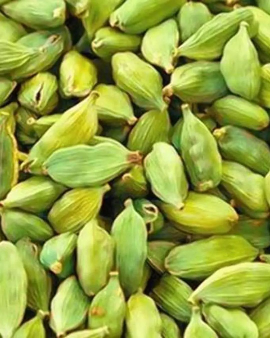 Cardamom — Green, Small Elachi, 50g Cardamom — Green, Small Elachi, 50g
